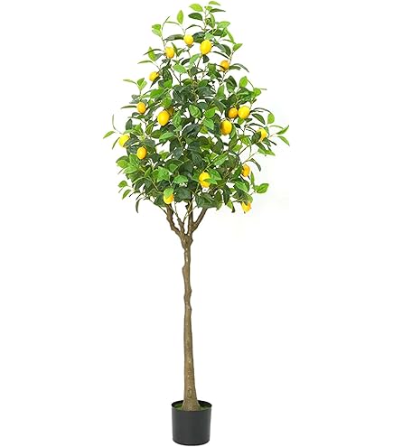 Amazon｜観葉植物 フェイク 玄関ポーチの角に本物のような人工レモンの